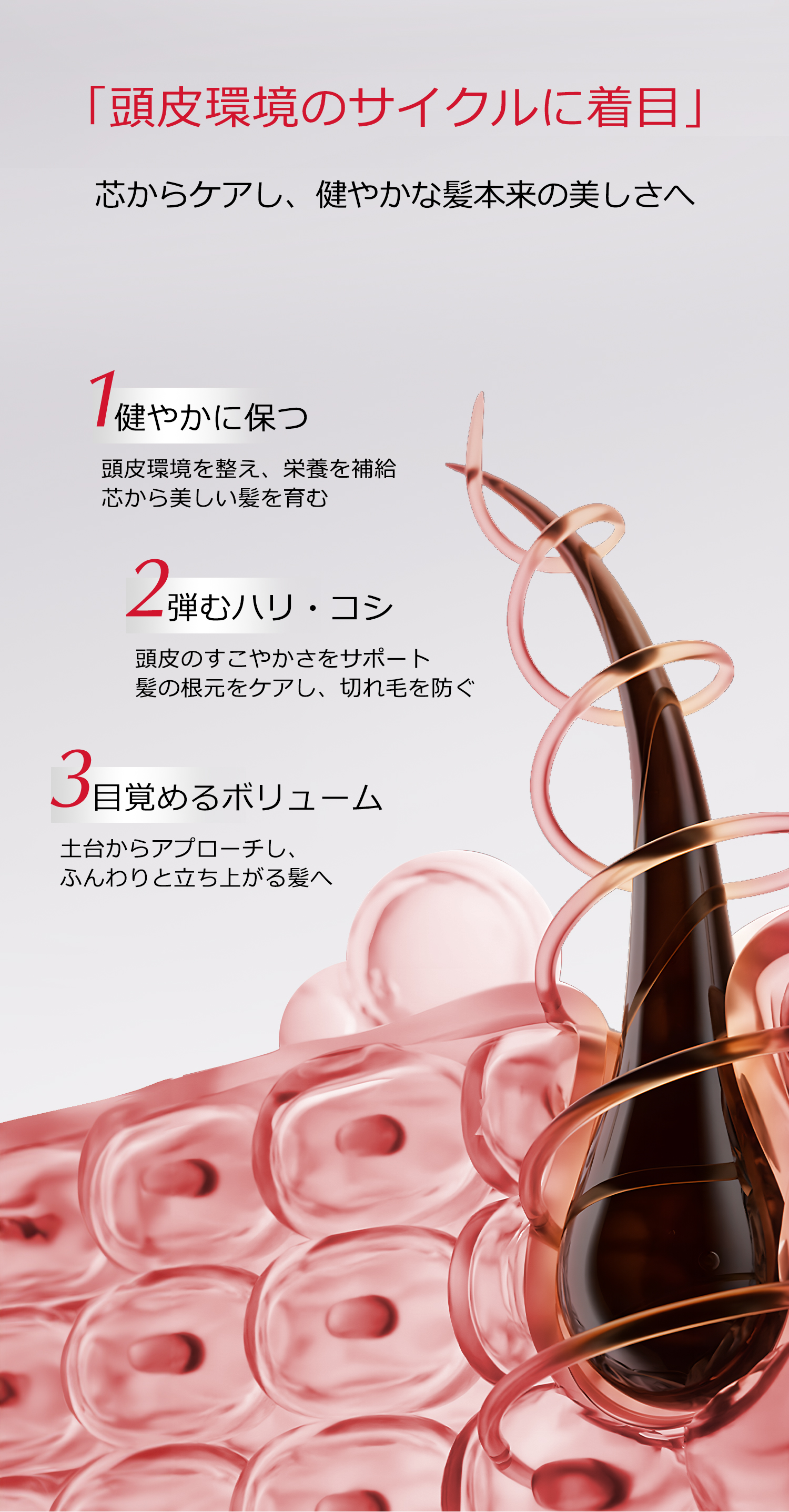 ココチ SCスカルプ エッセンス
