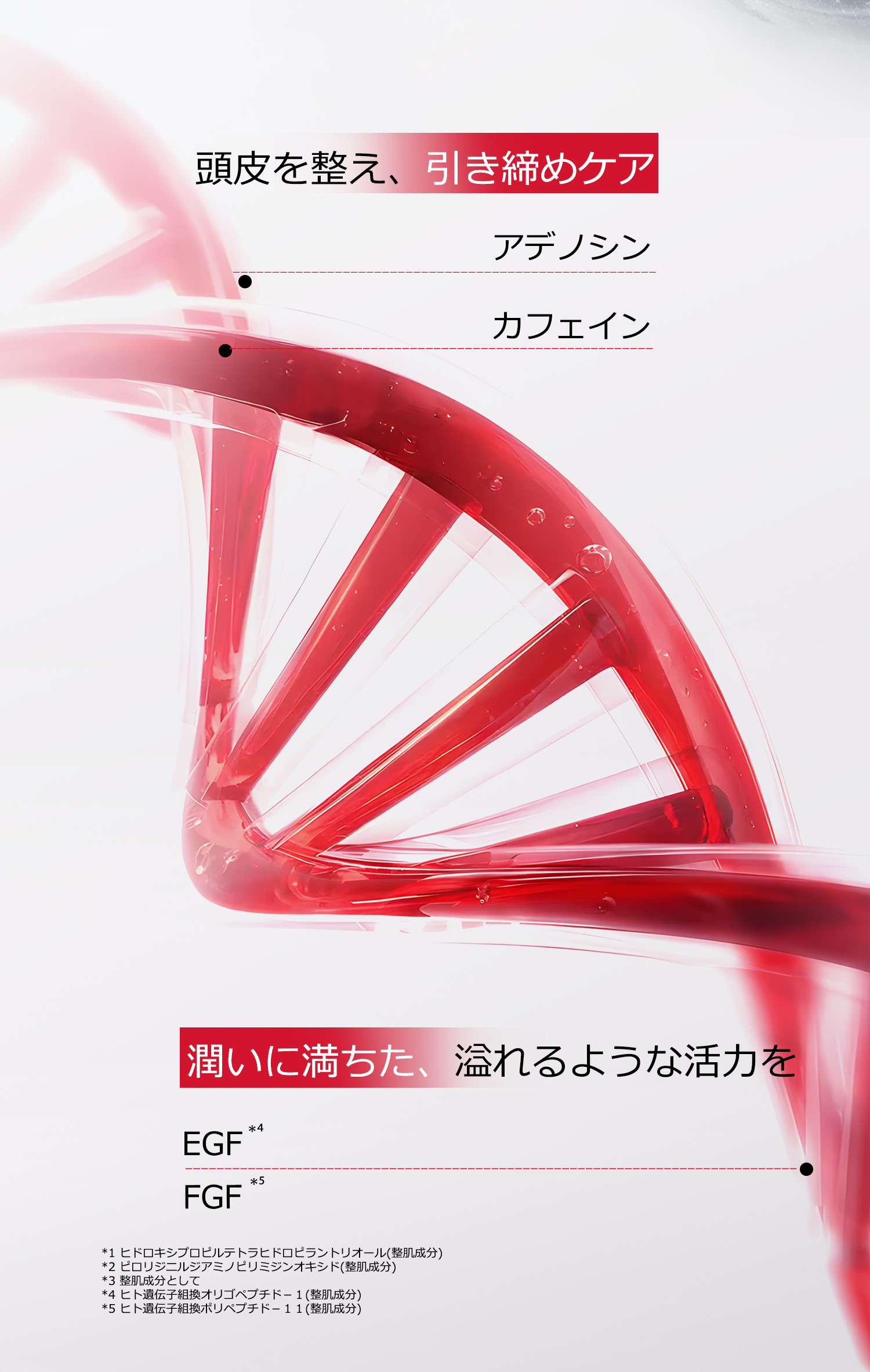 ココチ SCスカルプ エッセンス