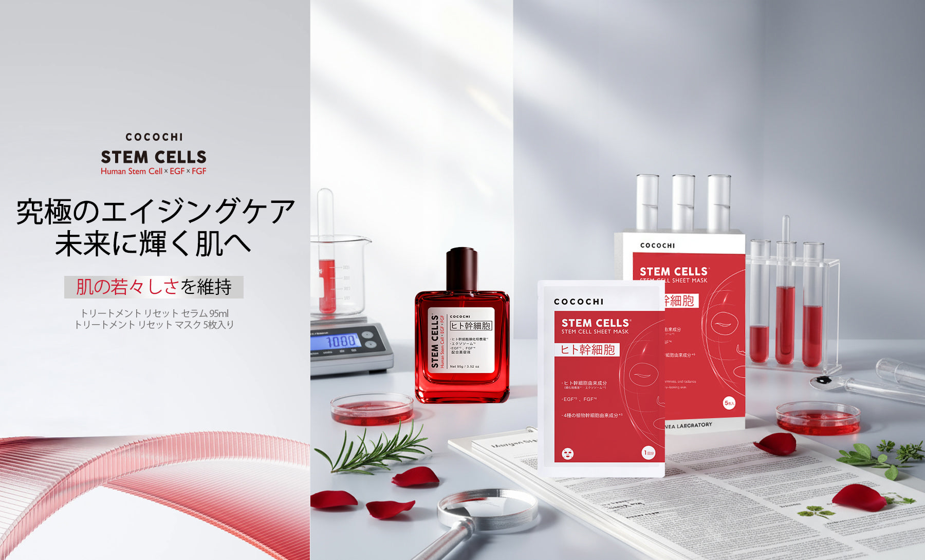 chococoღ✨リニューアル 美活肌エキス6本 クリーム20 4本 COCOCHI ｜肌が、 わたしを織りなしていく。