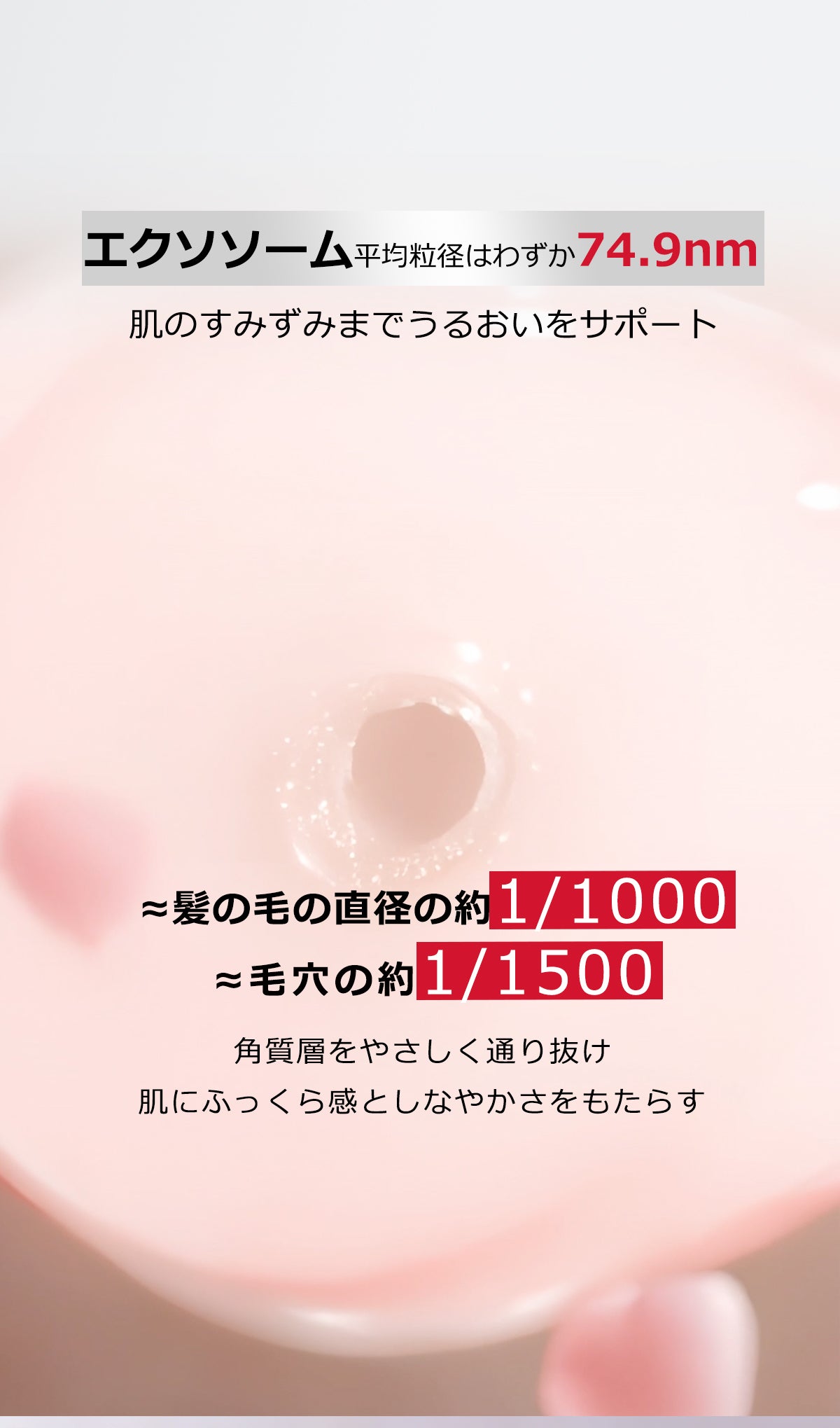 ココチ トリートメント リセット セラム